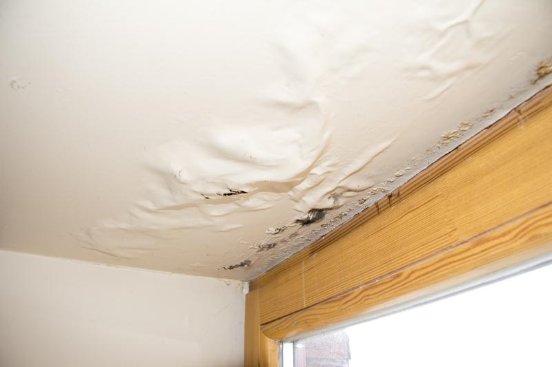 What You Can Do to Protect Your Home From Excess Moisture