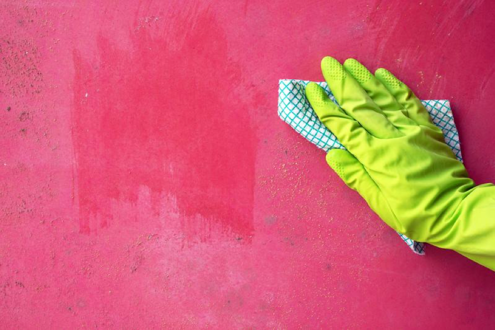 4 Toxin-Free Ways to Clean Up Mold