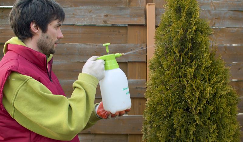 Eco Friendly Ways to Keep Pests Out of Your Home