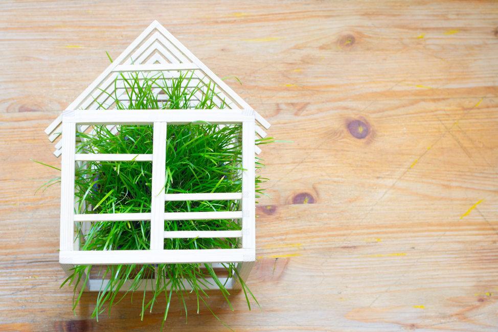 How Does Green Remodeling Lead to Improved Health?