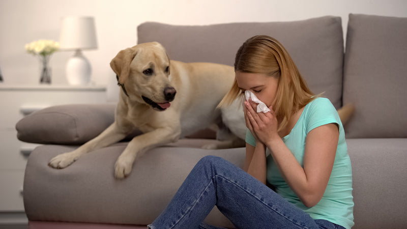 Allergies from your home