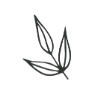 MamaSuds leaf logo
